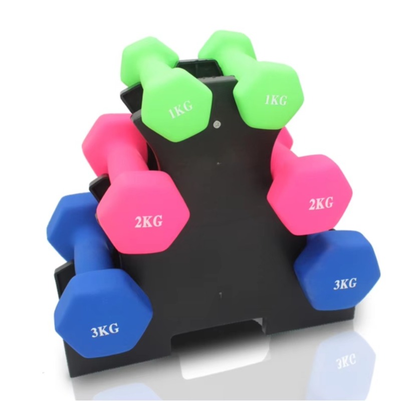 Home Gym Rack - Suporte de Armazenamento de Halteres de
