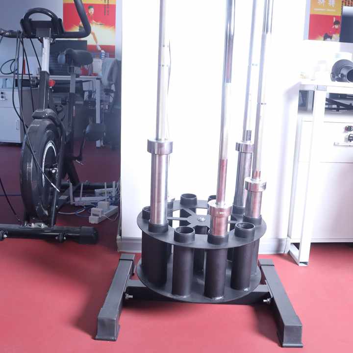 Barbell Curl Bar - Suporte para Halteres: Armazenamento e Organização
