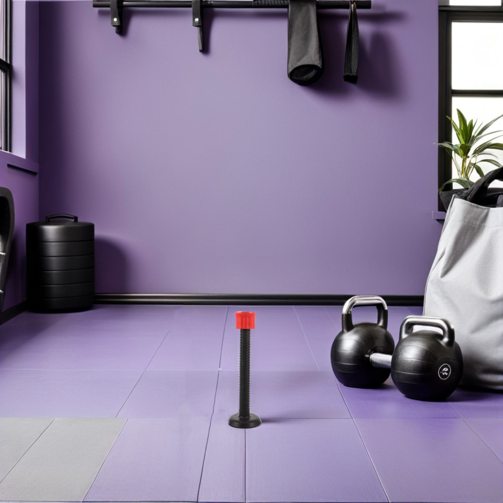Barras de Suporte Plásticas pa - Home Gym Women avaliação e preço